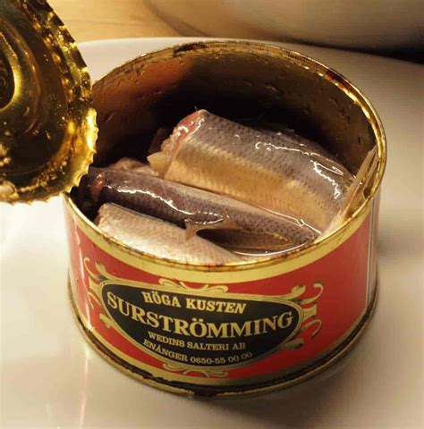 worst smelling fish in a can|Surströmming – the rotten herring that Swedes love